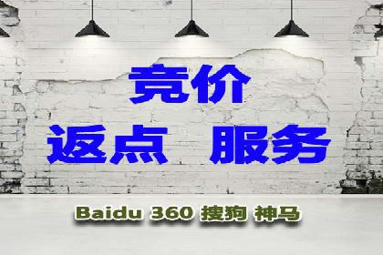 SEM推广实战：成功案例解读与策略调整